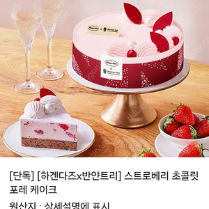 카톡 [하겐다즈x반얀트리] 스트로베리 초콜릿 포레 케이크