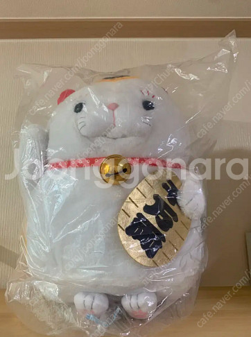 어뮤즈 고양이 마네키네코인형 일본 정품 어뮤즈 토끼 롯...--0