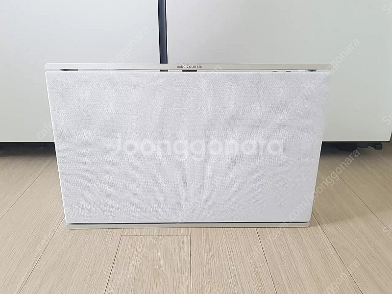 뱅앤올룹슨 레벨 블루투스 스피커 팝니다--0