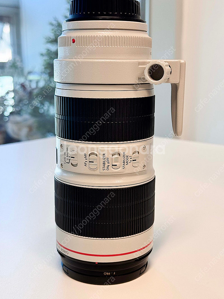 캐논 EF 70-200mm F2.8L ll (새새아빠)...--4