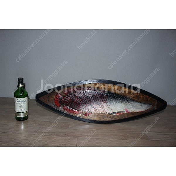 대형 삐라루꾸 브라질 아마존 물고기 원주민 목각액자--1