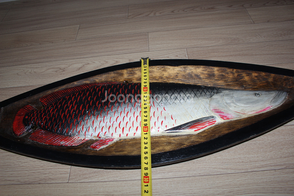 대형 삐라루꾸 브라질 아마존 물고기 원주민 목각액자--5