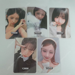 각 금액 덤드림)아이브 레이 정품 포카 아이브 시크릿 엠파시 스위치 레이 포카