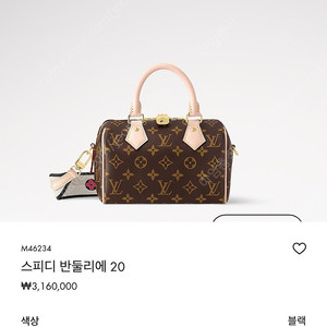 루이비통 스피디 반둘리에 20