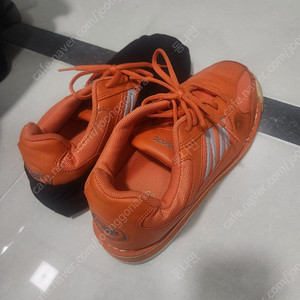 입문용 볼링 슈즈(오른발, 265)
