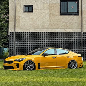 스팅어/G70 CTS-V 6p,4P 팝니다