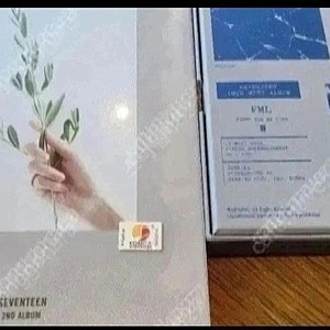 보아 1집 싱글+4집 앨범, 세븐틴 2집+미니 10집
