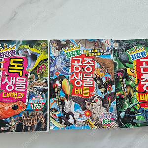 최강왕시리즈 3권