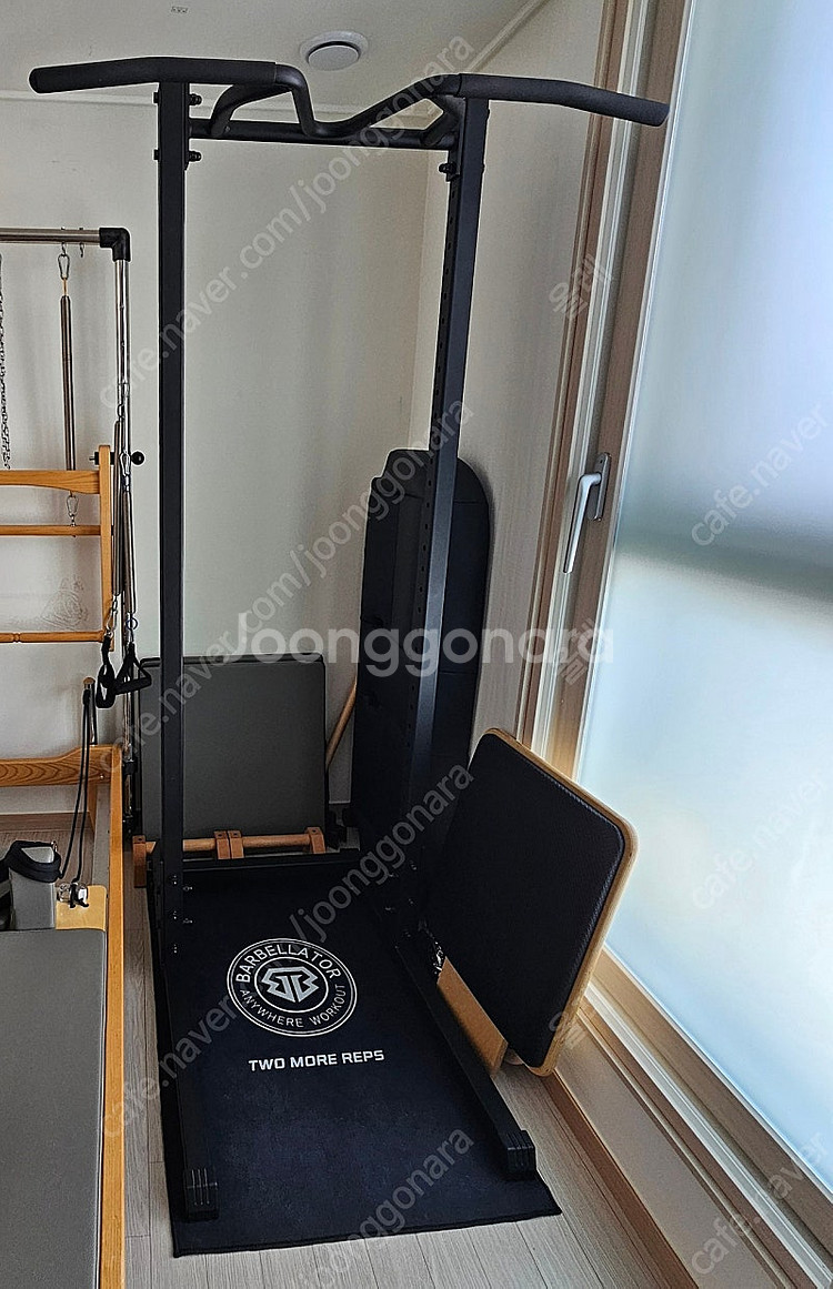 바벨라토르 뉴 리쌤 철봉 치닝디핑 가정용 턱걸이 운동기...--0