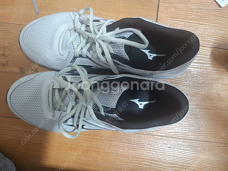 남자 런닝화 미즈노 맥시마이저25 오이스터 280 판매--1