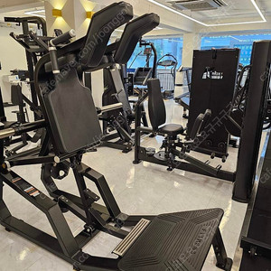 스트렝스 라이프 브이스쿼트