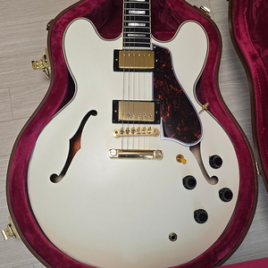 [신품급] 에피폰 1959 ES-355 ( 스파크Go도 함께구매가능, es355 inspired by Gibson)