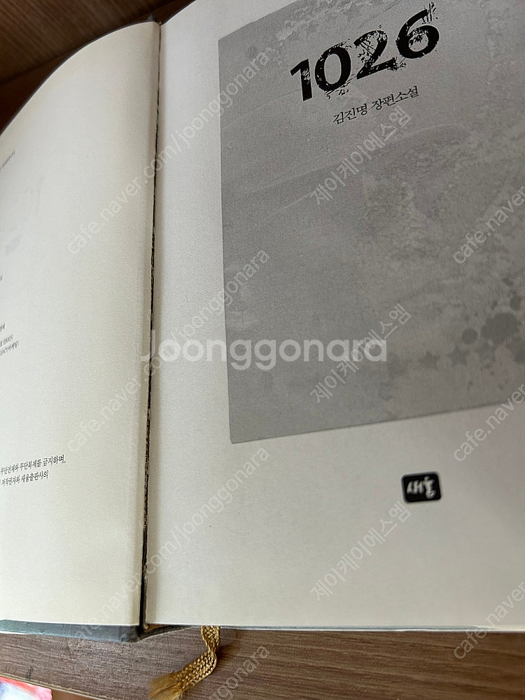 김진명소설--4