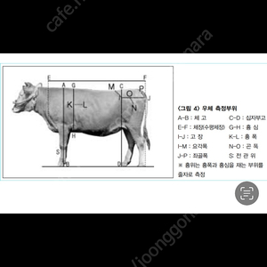 한우 정액 kpn 정리합니다