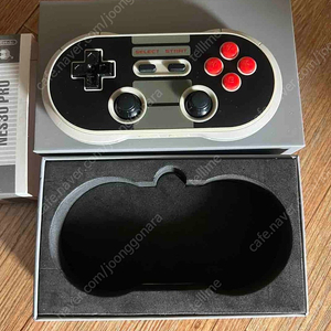 8 bitdo nes 패드