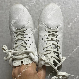 아슬레타 프록시마 md 265