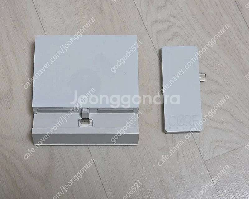 스위치 스컬앤코 OLED 점프게이트 독--0