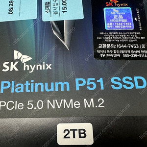하이닉스 P51 SSD 2TB
