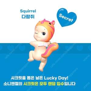 소니엔젤 키링 애니멀 크리스마스 오너먼트 홈스위트홈 시크릿 로비 다이노소어 윈터 원더랜드 연하장 캔디 스토어 키링 하비스트 히퍼 루킹백 키스 드리밍 러브 기프트 버스데이 베어 러브