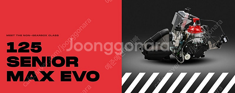 레이싱 카트 판매 합니다.성인용  ((프레임_RY30-16), (ROTAX_시니어맥스 에보125마력 선수 훈련용 엔...--2