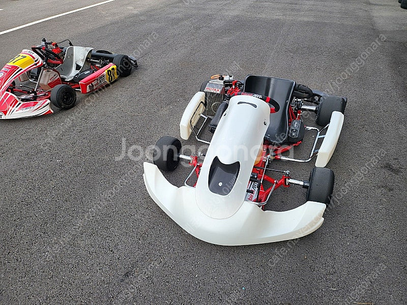레이싱 카트 판매 합니다.성인용  ((프레임_RY30-16), (ROTAX_시니어맥스 에보125마력 선수 훈련용 엔...--3