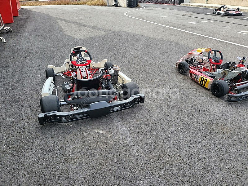 레이싱 카트 판매 합니다.성인용  ((프레임_RY30-16), (ROTAX_시니어맥스 에보125마력 선수 훈련용 엔...--5