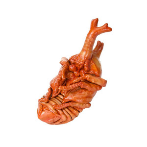 BANDAI(반다이), 생물대도감(야마토 장수풍뎅이 번데기), 팝니다.