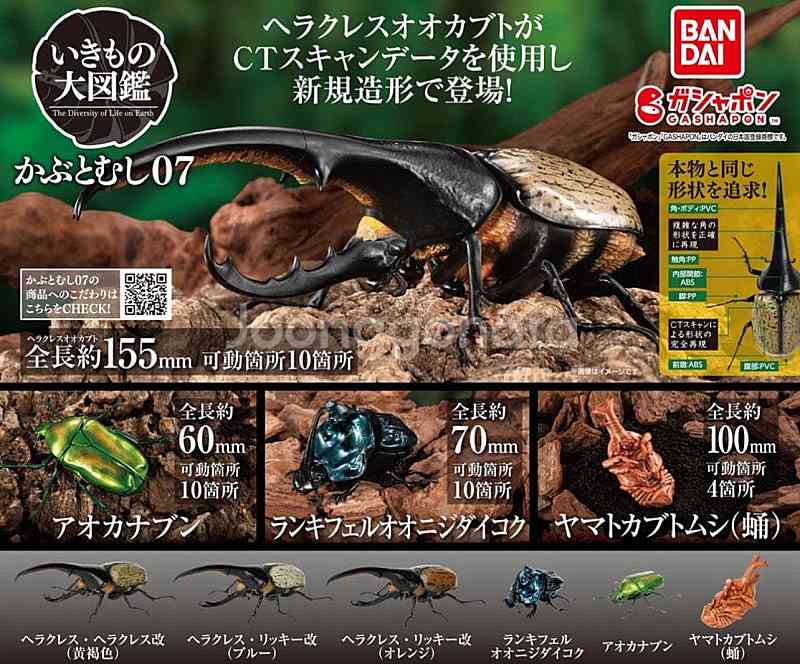 BANDAI(반다이), 생물대도감(야마토 장수풍뎅이 번...--1