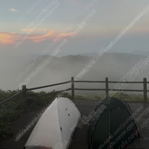 로커스기어 제다이 메시버전