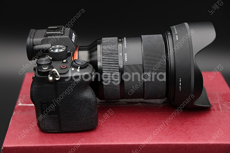소니 A7M4 + 시그마 24-70--2