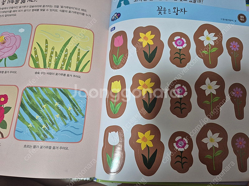 과학특공대 45권 택포--8