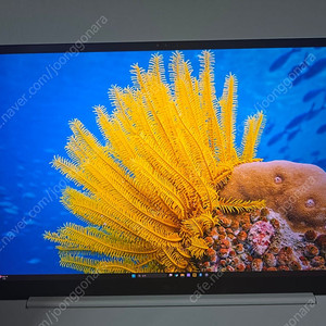 2024 LG 그램 프로 17인치(RTX3050 포함) - 17Z90SP-EA5CK 팝니다.