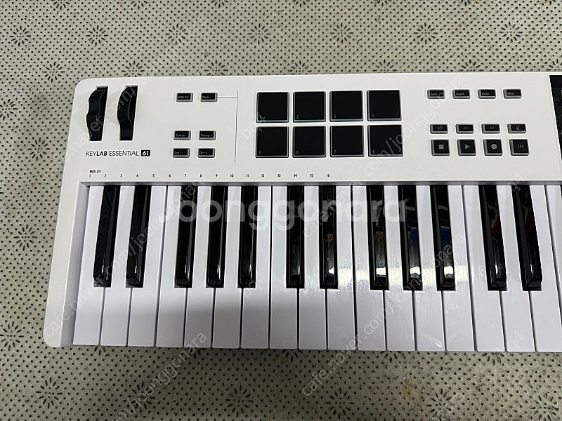아투리아 키랩 에센셜61 mk3 키랩 에센셜 61 MK...--1