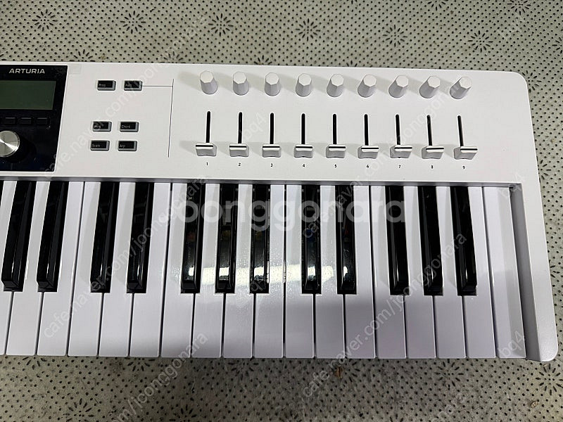 아투리아 키랩 에센셜61 mk3 키랩 에센셜 61 MK...--2