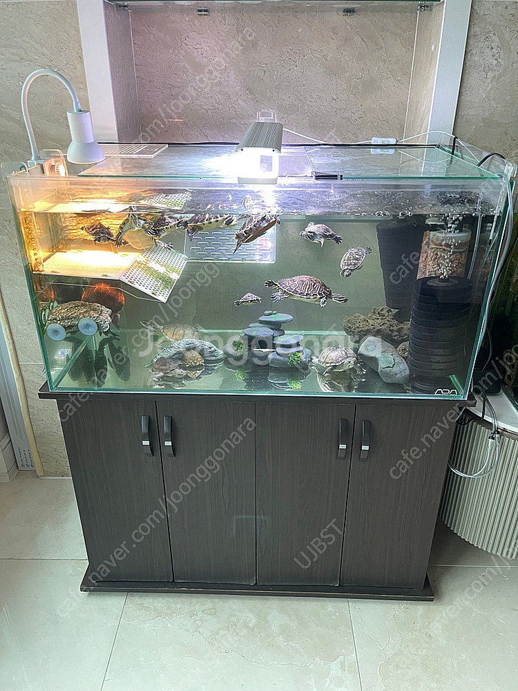 (경기 북부) 프리미엄 3자 광폭 수조 90x45x45...--1