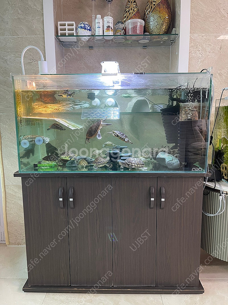 (경기 북부) 프리미엄 3자 광폭 수조 90x45x45...--2
