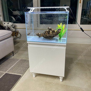 (경기 북부) 프리미엄 올디아망 자반 45X32X35 수조 받침대 세트 상태 S급 판매 (개별 가능)