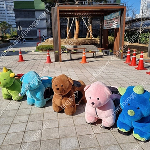 어린이집 놀이기구 전동디스코팡팡 동물라이더 범퍼카 회전비행기 렌탈 이미지