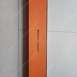 애플워치8 에르메스 오랑주 41mm 싱글투어 팝니다.