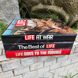 타임라이프 3권(완질)//알브레히트 뒤러: 회화, 판화, 드로잉