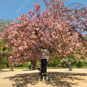 몽벨 정품 바람막이 xs(여성55-66)