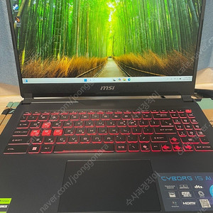 MSI Cyborg 15 AI 게이밍 노트북 rtx4060판매합니다