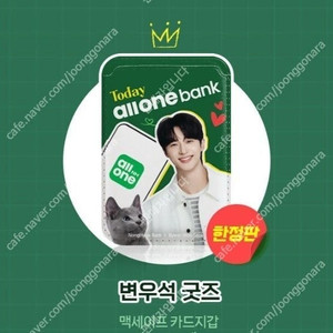한정판 변우석 굿즈 2종 맥세이프 카드지갑&보조배터리