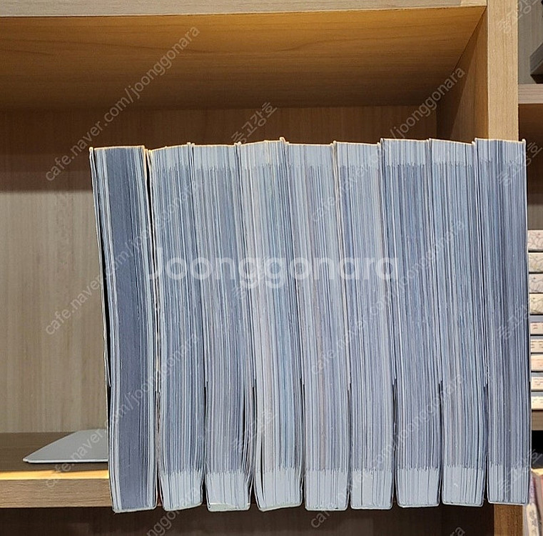 [웹툰] 나 혼자만 레벨업 1-9--1