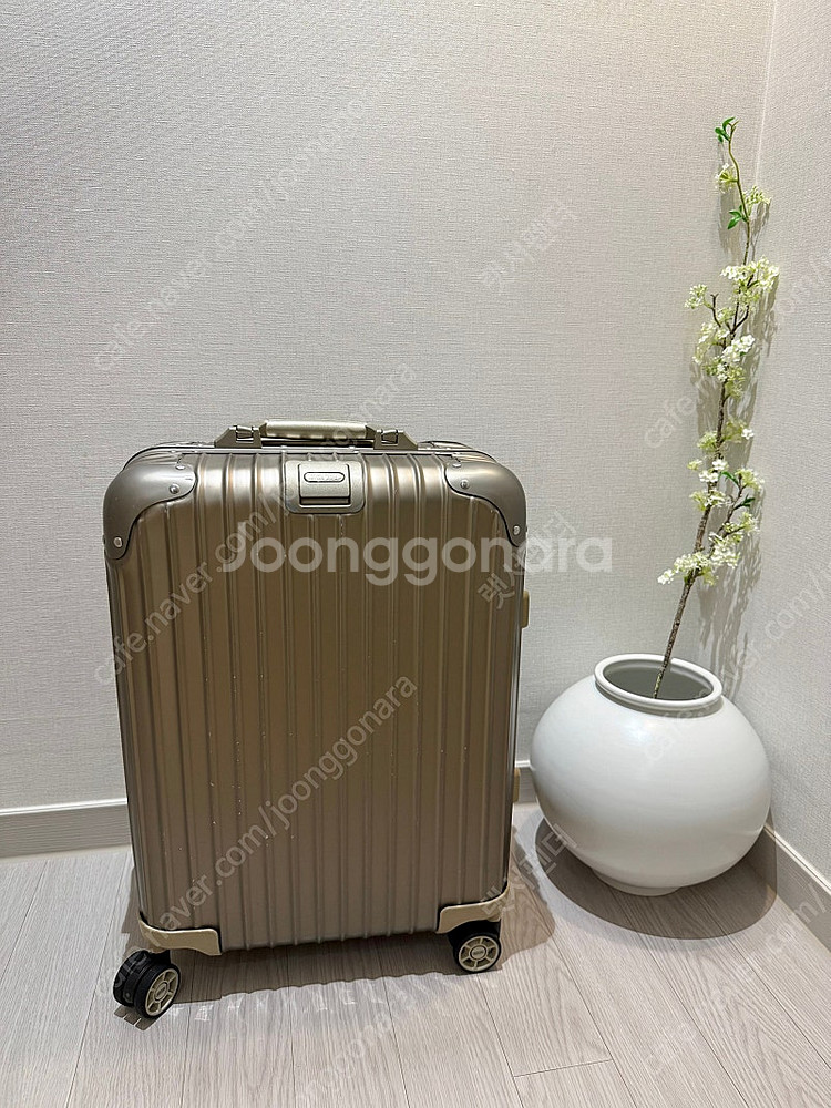 리모와 오리지널 캐빈s 티타늄골드 색상--0
