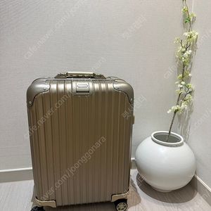 리모와 오리지널 캐빈s 티타늄골드 색상