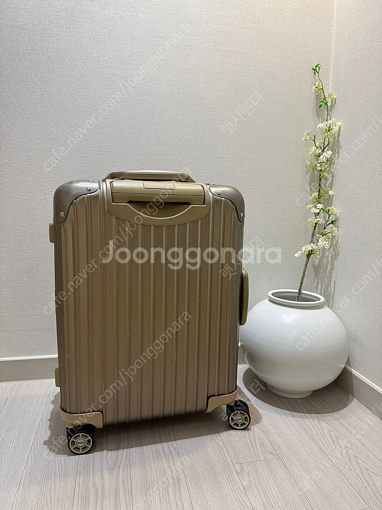 리모와 오리지널 캐빈s 티타늄골드 색상--4