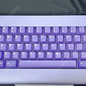 커스텀 키보드 piggy 60