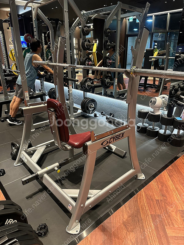 싸이벡스 파워랙 싸이벡스 숄더랙 너틸러스 올림픽인클라인...--1
