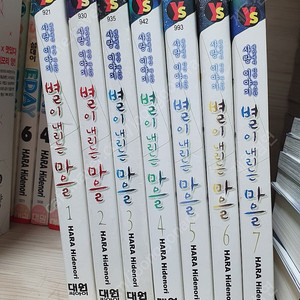 하라히데노리 별이내리는 마을
